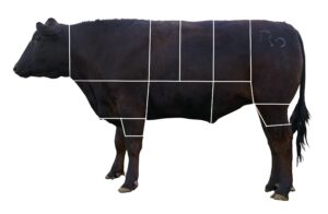 Explore the Cuts of Beef